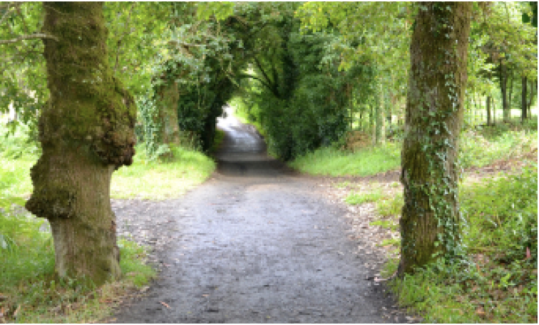 Be Play Love Camino de Santiago Thumbnail 2
